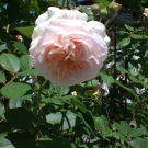 CIMG0644.JPG