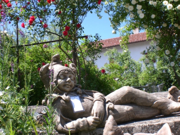 CIMG0650.JPG