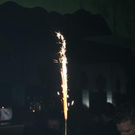 3012245.jpg