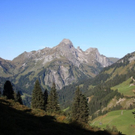 IMG_0339.jpg