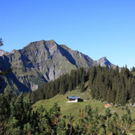 IMG_0343.jpg