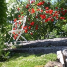 CIMG0672.JPG
