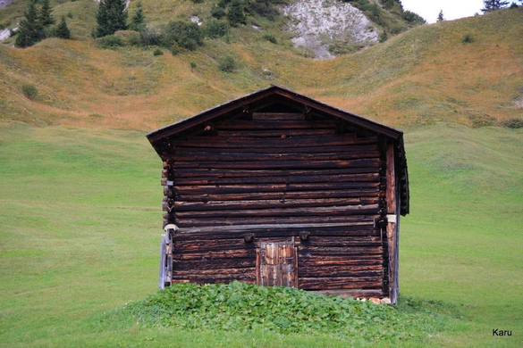 IMG_0424.jpg