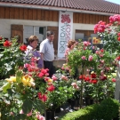 CIMG0682.JPG