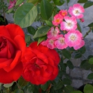 CIMG0701.JPG