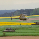 kuerassier1.jpg