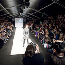 catwalk_9T8Y7353.jpg