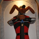 3161669.jpg