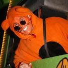 3161698.jpg