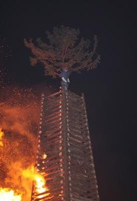 3181897.jpg