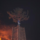 3181897.jpg