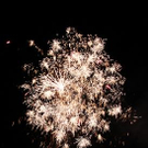 3181903.jpg