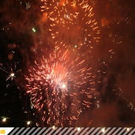 3176248.jpg