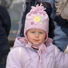 3184649.jpg