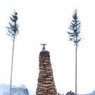 3184757.jpg