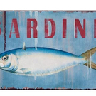 BlechschildSardine.jpg
