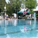 3319545.jpg