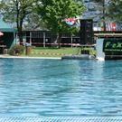 3319566.jpg
