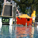 3319673.jpg