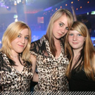 3386623.jpg