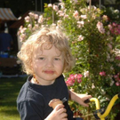 3410540.jpg