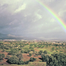regenbogen-lugros_rbvn_489340224.jpg