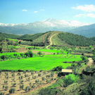 sierra-nevadda_rbvn_488237765.jpg