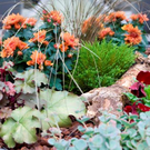 Herbstzauber und Dekorationsideen