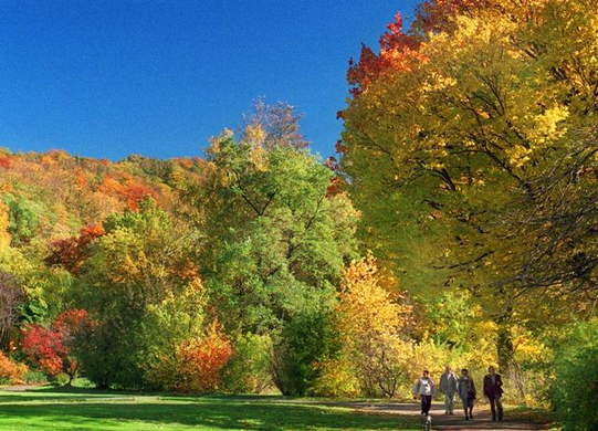19991030_106599004.jpg