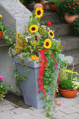 20060928_114620900.jpg