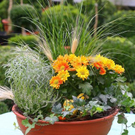 20060928_114622199.jpg