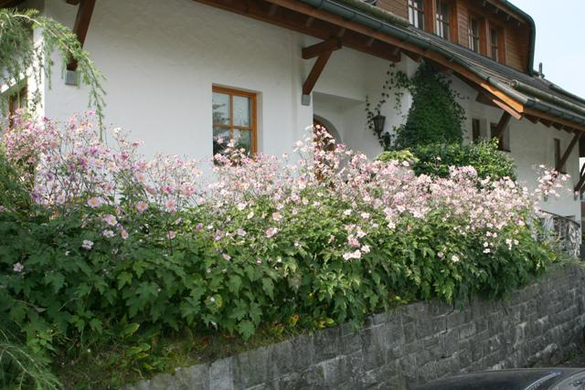 20070830_259428921.jpg