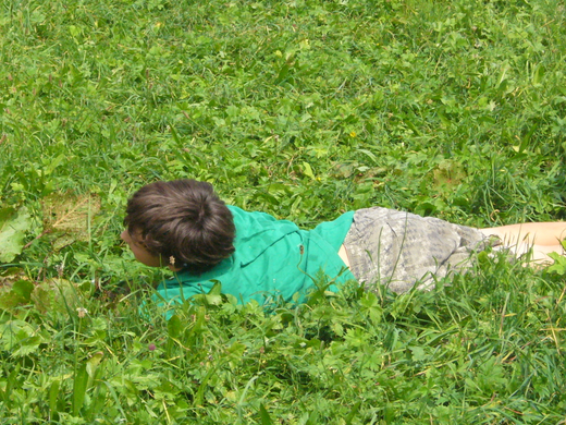 P1080556.JPG