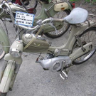 3506486.jpg