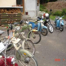 3506477.jpg