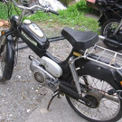 3506481.jpg