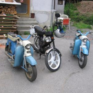 3506483.jpg