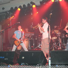3515567.jpg