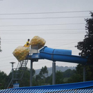 3516780.jpg