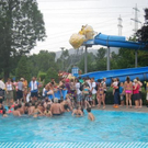 3516781.jpg