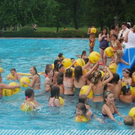 3516788.jpg