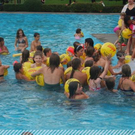 3516790.jpg