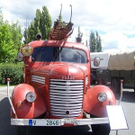 3527934.jpg