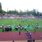 3527947.jpg