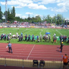 3527955.jpg