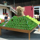 3531644.jpg