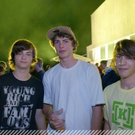 3554154.jpg
