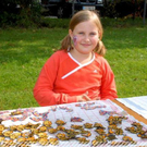 3606173.jpg
