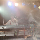 3617400.jpg