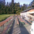 3639841.jpg